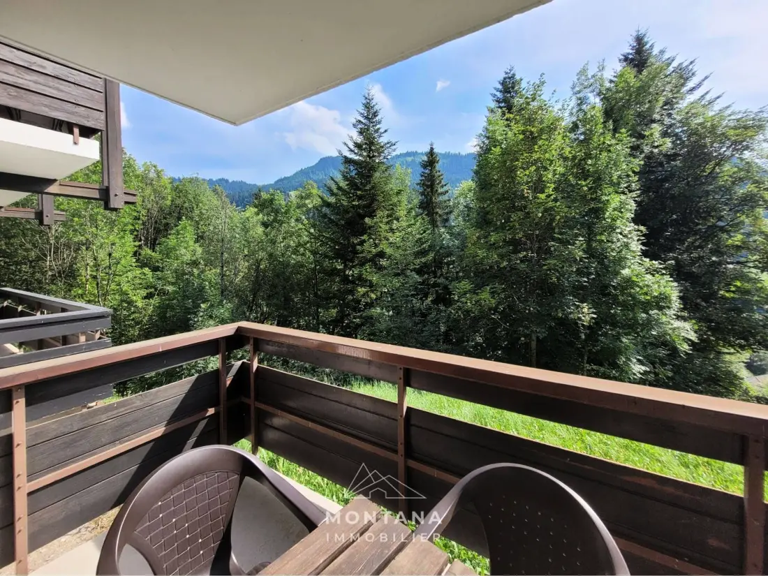Location de Vacances Le Grand-Bornand 348