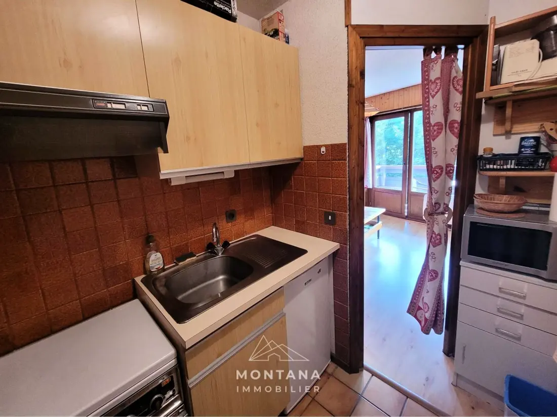 Location de Vacances Le Grand-Bornand 348