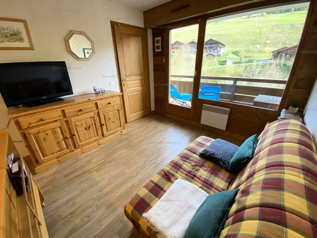 Location de Vacances Le Grand-Bornand 350