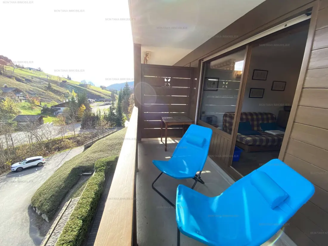 Location de Vacances Le Grand-Bornand 350