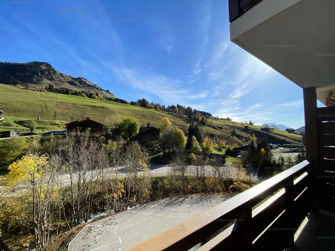 Location de Vacances Le Grand-Bornand 350