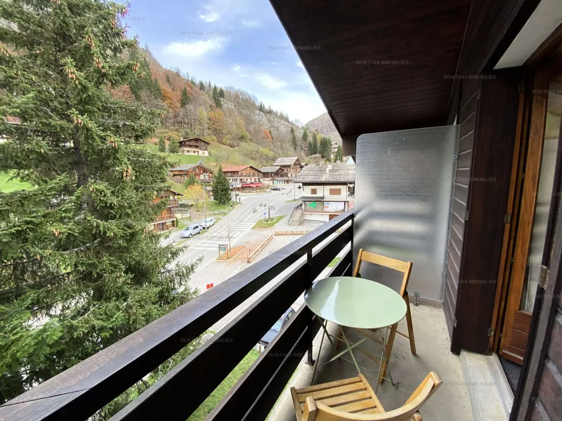 Location de Vacances Le Grand-Bornand 351