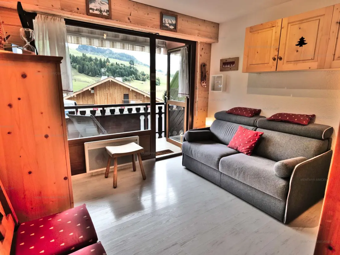 Location de Vacances Le Grand-Bornand 358