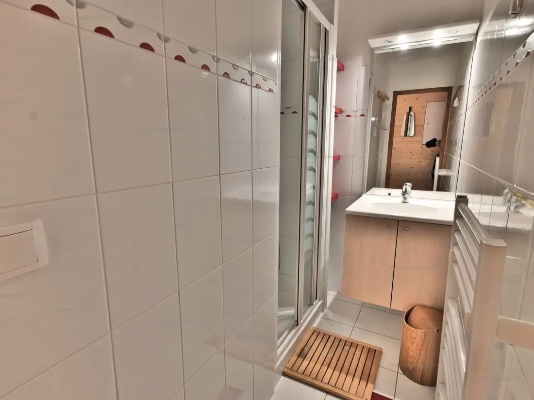 Location de Vacances Le Grand-Bornand 358