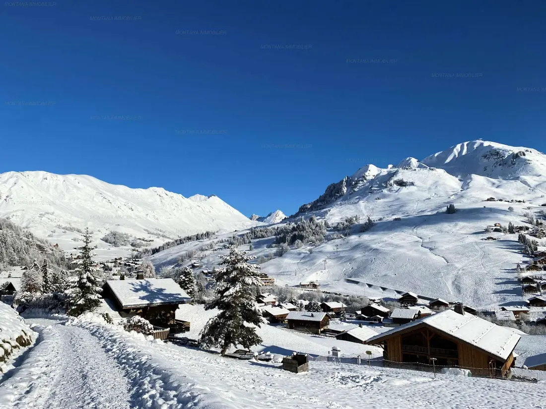 Location de Vacances Le Grand-Bornand 358