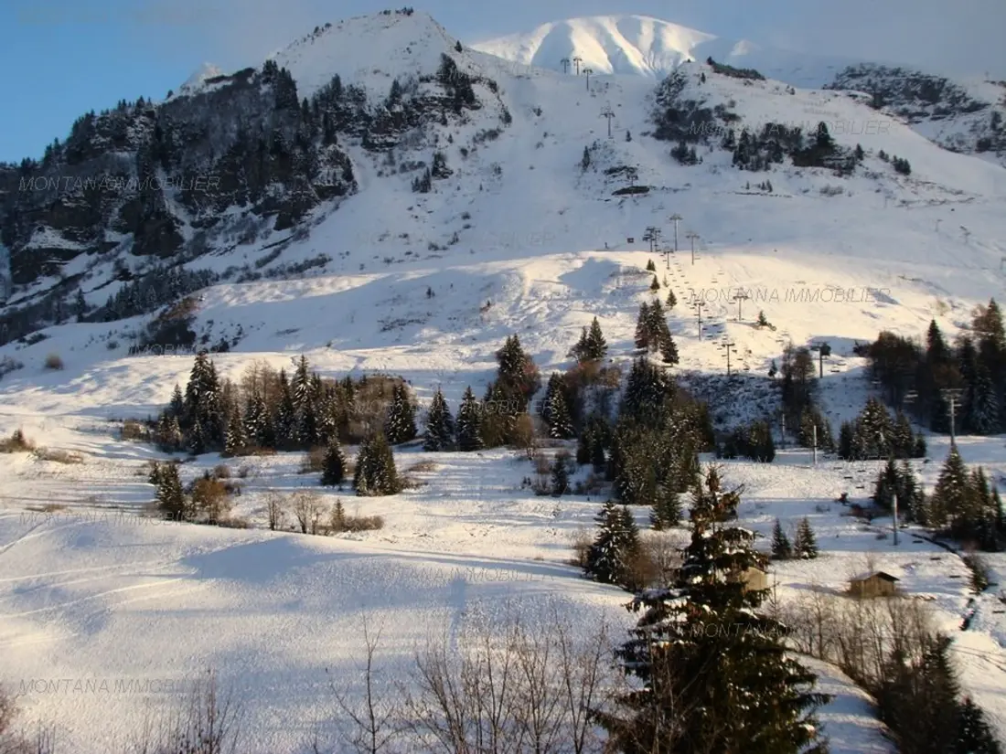Location de Vacances Le Grand-Bornand 358