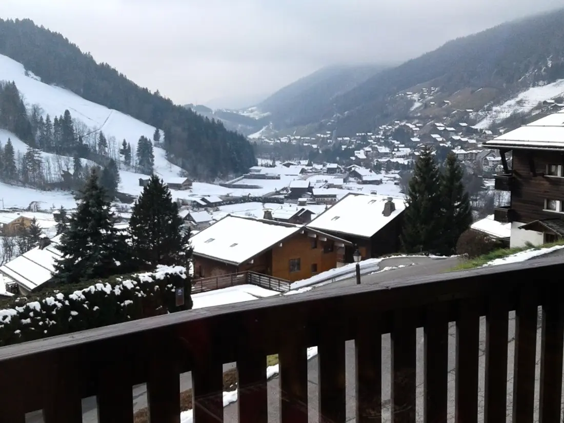 Location de Vacances Le Grand-Bornand 372