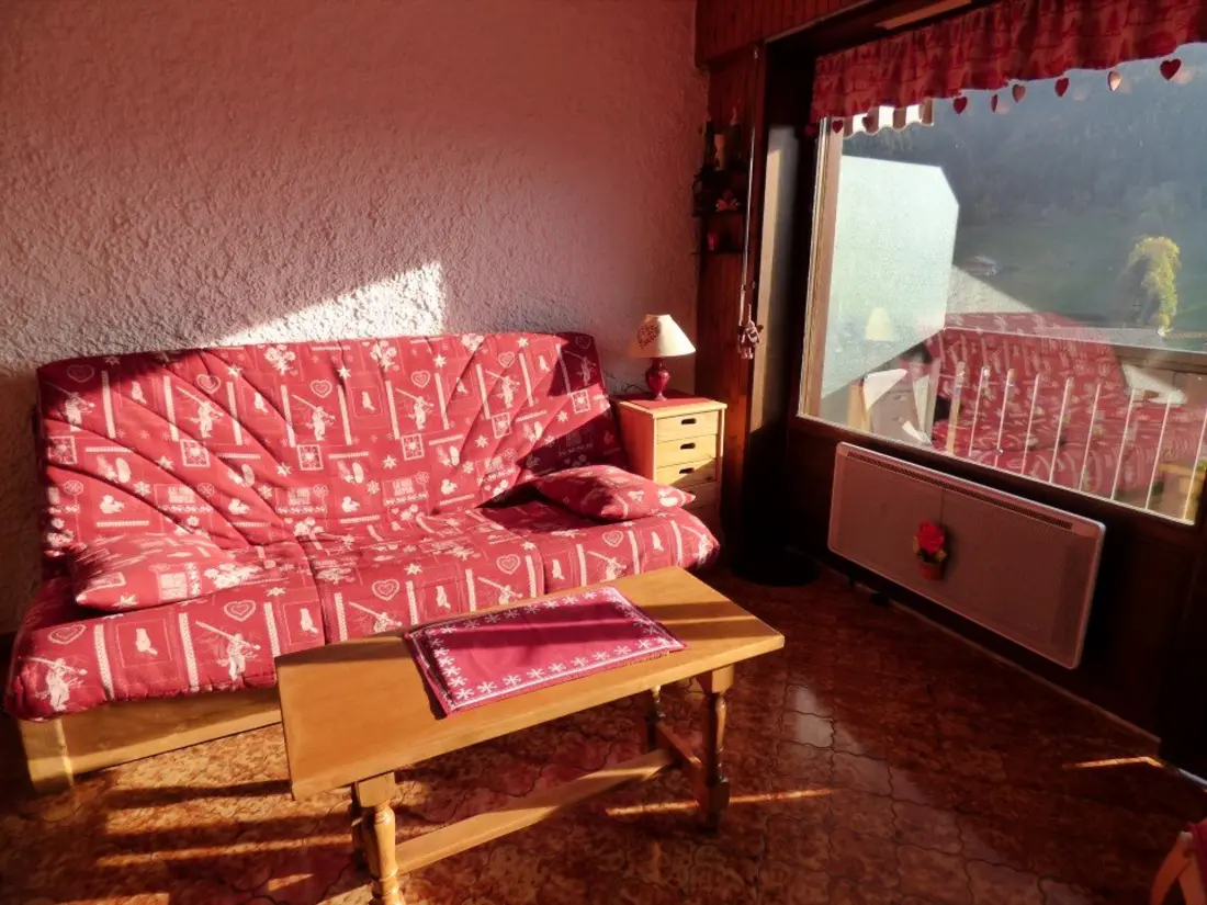 Location de Vacances Le Grand-Bornand 372