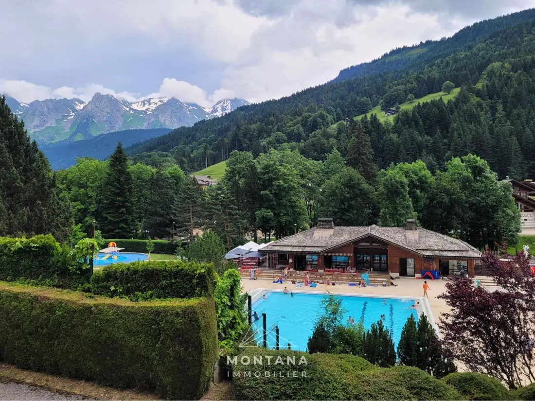 Location de Vacances Le Grand-Bornand 376