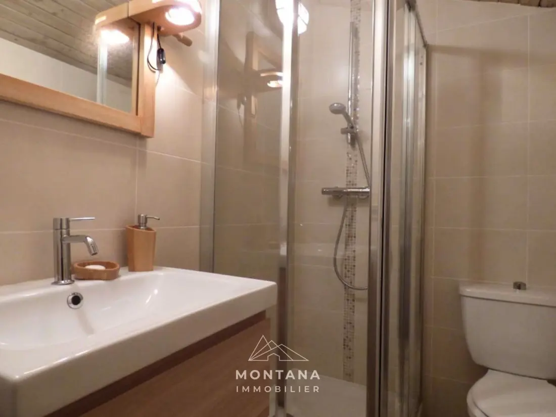 Location de Vacances Le Grand-Bornand 377