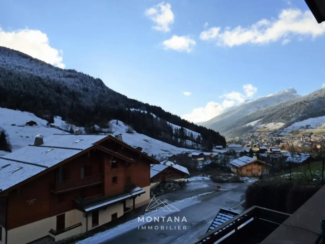 Location de Vacances Le Grand-Bornand 378