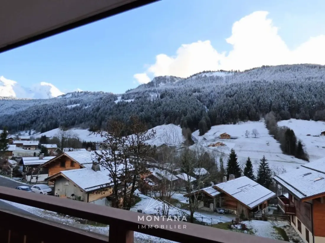 Location de Vacances Le Grand-Bornand 378