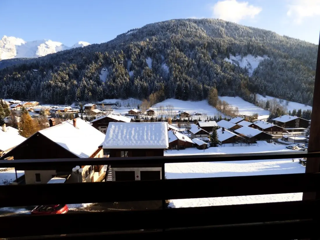 Location de Vacances Le Grand-Bornand 381
