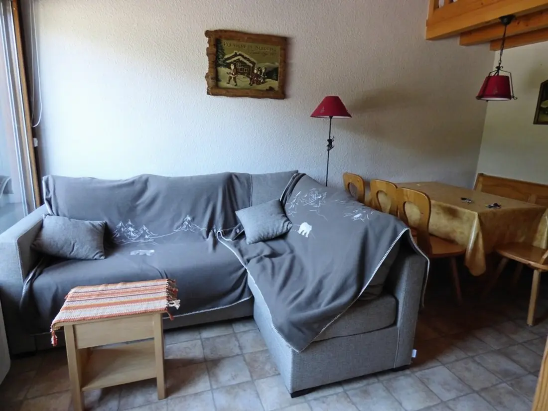 Location de Vacances Le Grand-Bornand 381