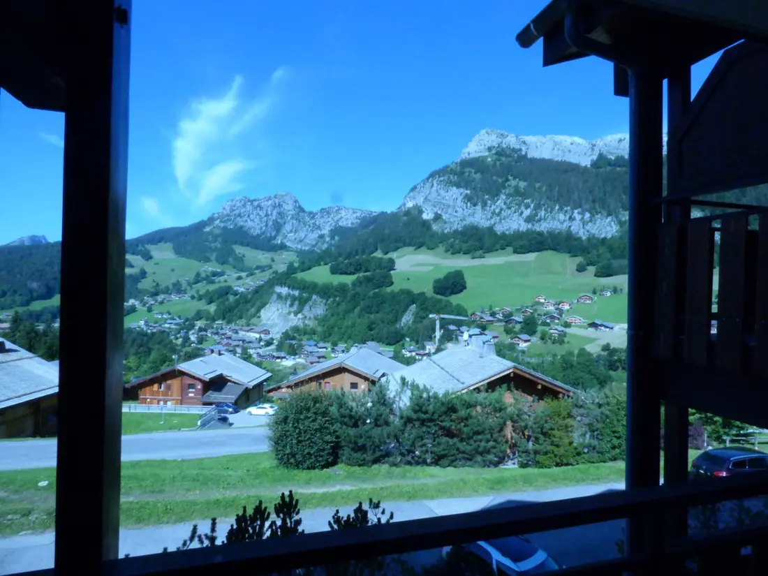 Location de Vacances Le Grand-Bornand 382