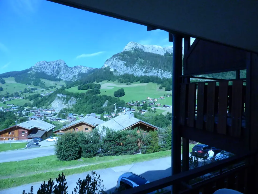 Location de Vacances Le Grand-Bornand 382