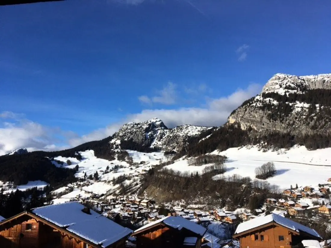 Location de Vacances Le Grand-Bornand 383