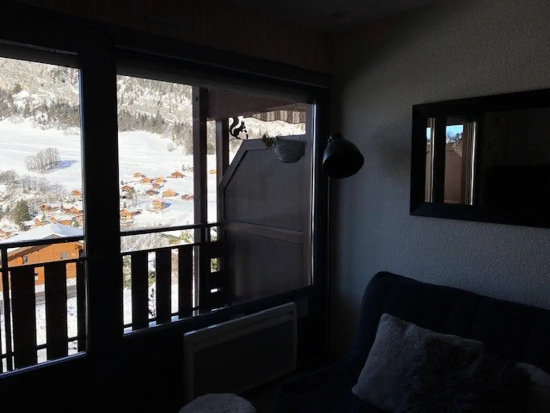 Location de Vacances Le Grand-Bornand 383