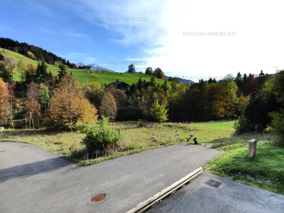 Location de Vacances Le Grand-Bornand 386