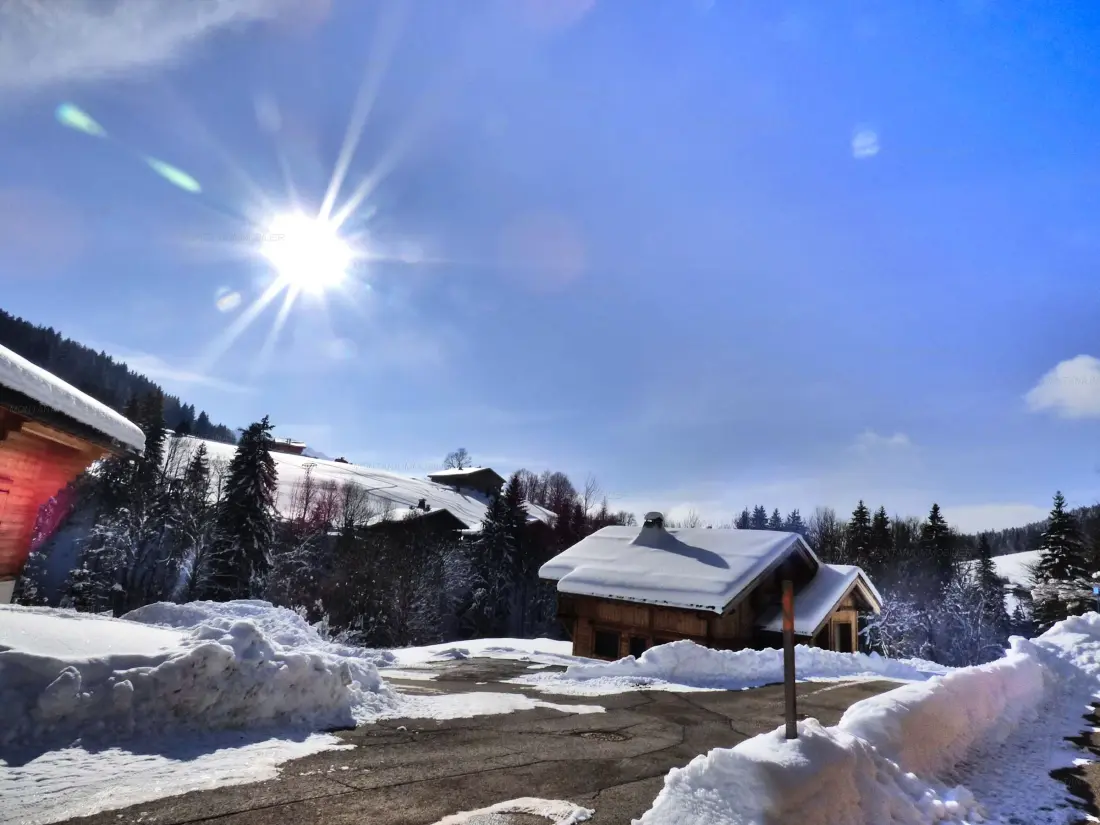 Location de Vacances Le Grand-Bornand 387