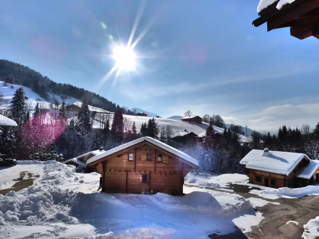 Location de Vacances Le Grand-Bornand 387