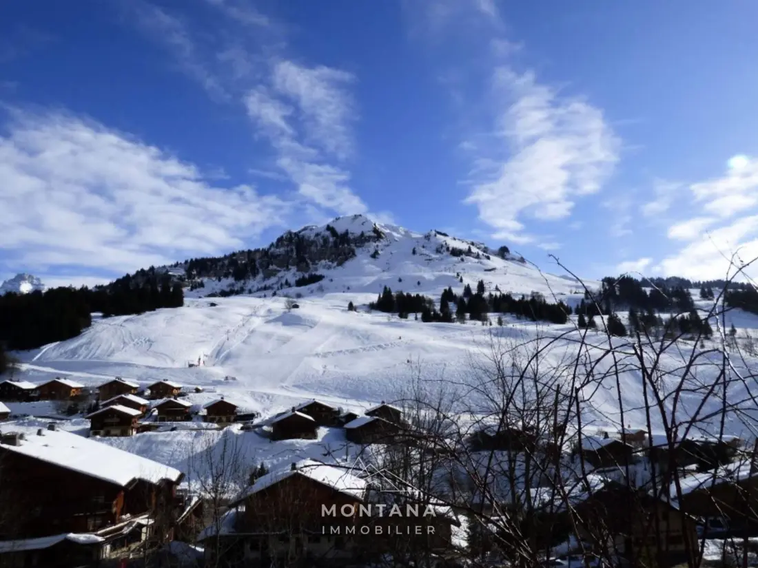 Location de Vacances Le Grand-Bornand 390