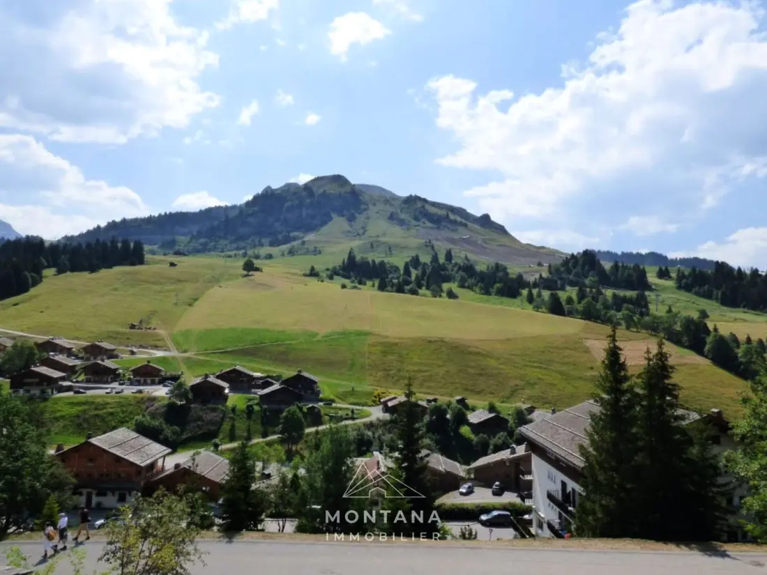 Location de Vacances Le Grand-Bornand 390