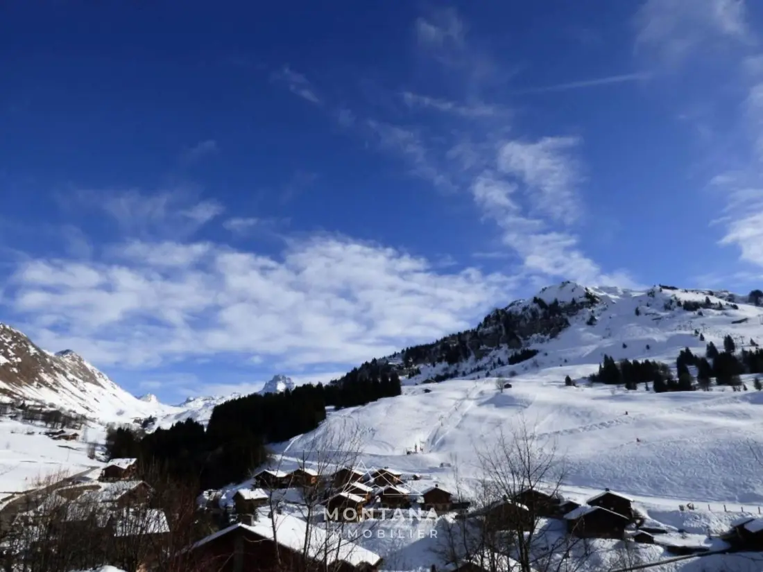 Location de Vacances Le Grand-Bornand 390