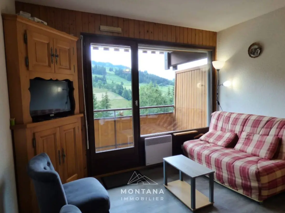 Location de Vacances Le Grand-Bornand 390