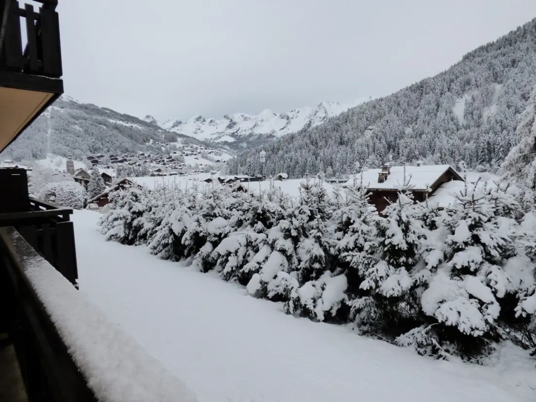 Location de Vacances Le Grand-Bornand 391