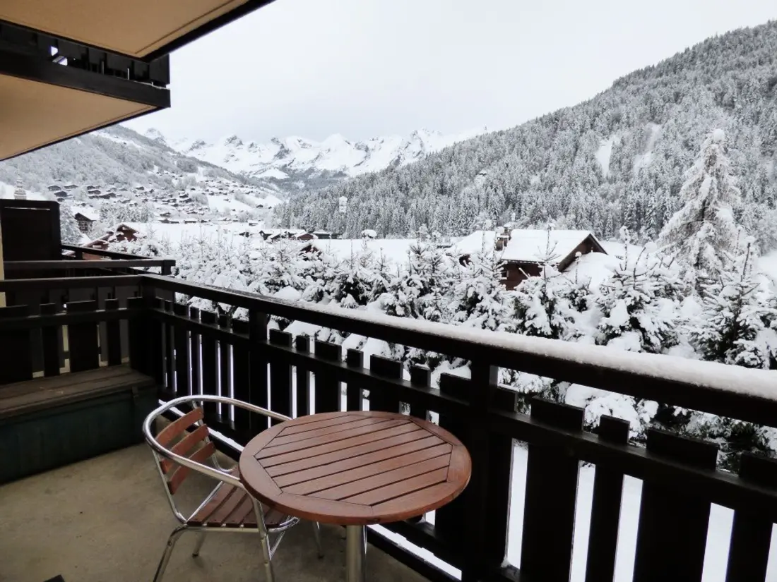Location de Vacances Le Grand-Bornand 391