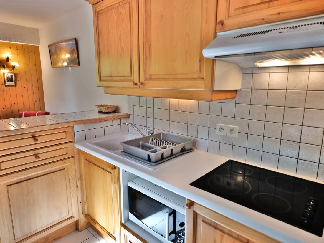 Location de Vacances Le Grand-Bornand 392