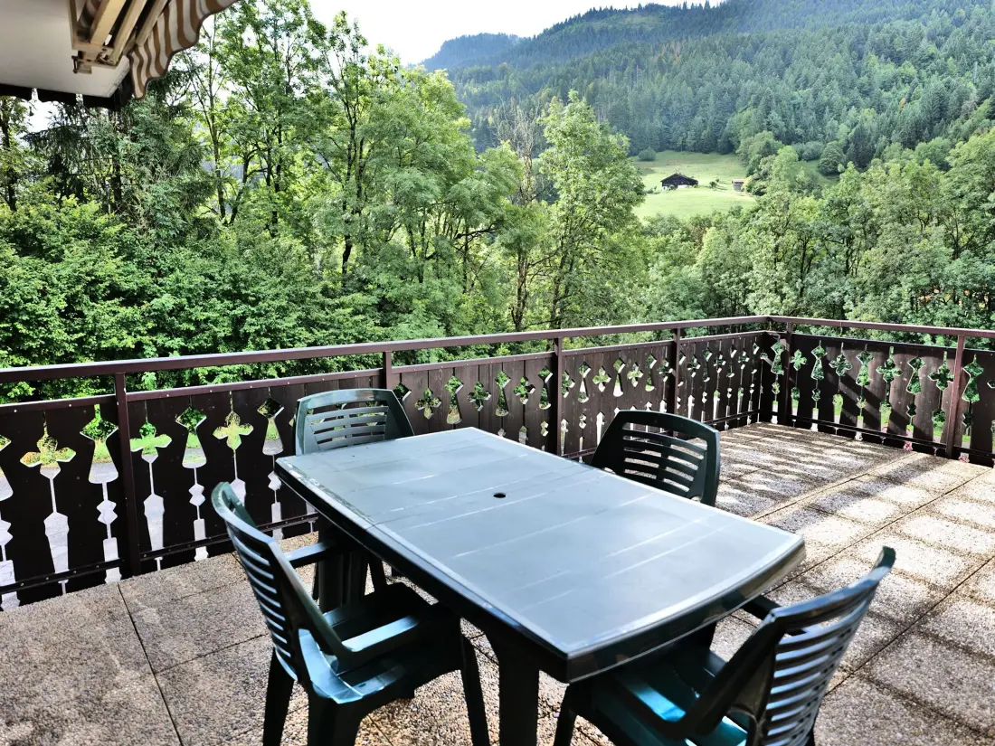 Location de Vacances Le Grand-Bornand 392