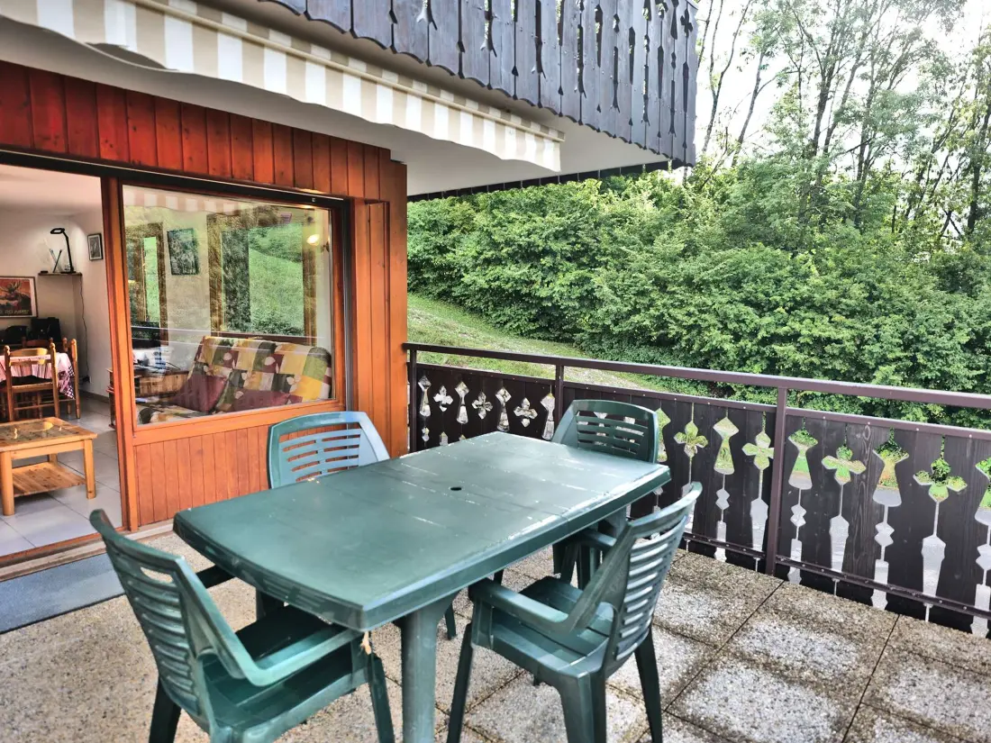 Location de Vacances Le Grand-Bornand 392