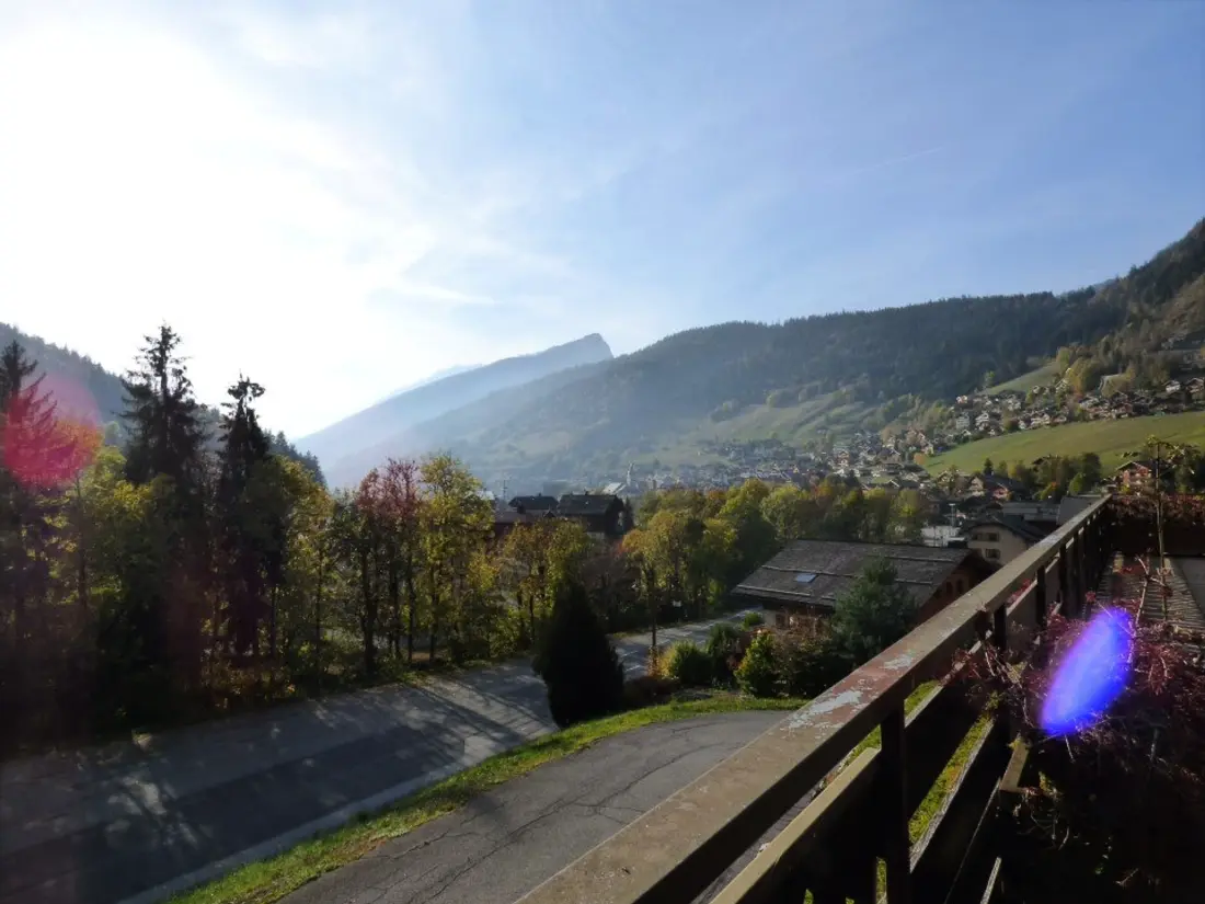 Location de Vacances Le Grand-Bornand 392