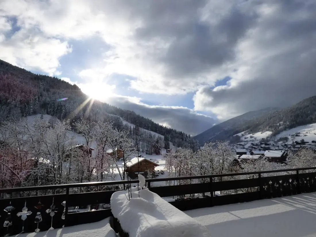 Location de Vacances Le Grand-Bornand 392