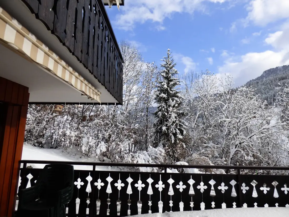 Location de Vacances Le Grand-Bornand 392