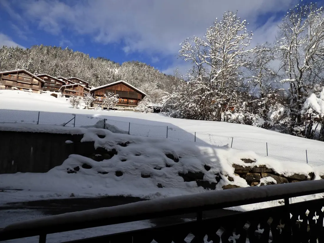 Location de Vacances Le Grand-Bornand 392