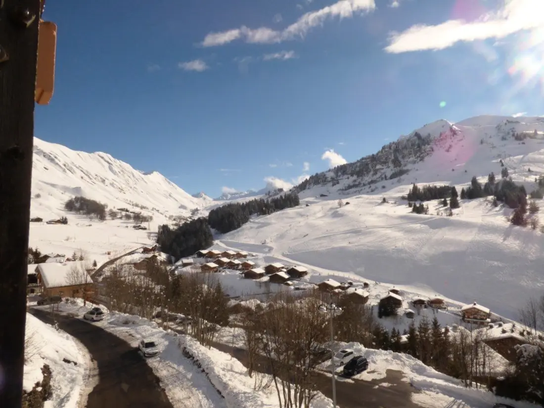Location de Vacances Le Grand-Bornand 393