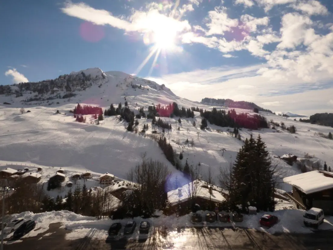 Location de Vacances Le Grand-Bornand 393