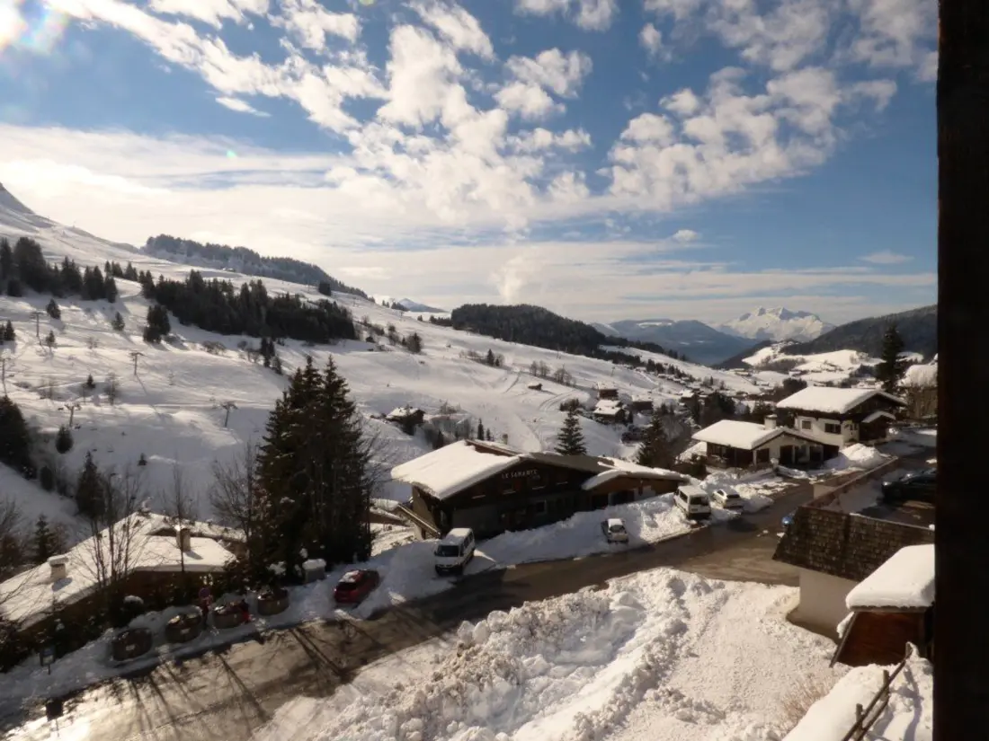 Location de Vacances Le Grand-Bornand 393