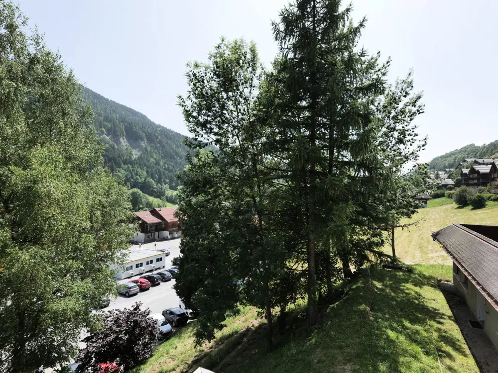 Location de Vacances Le Grand-Bornand 395