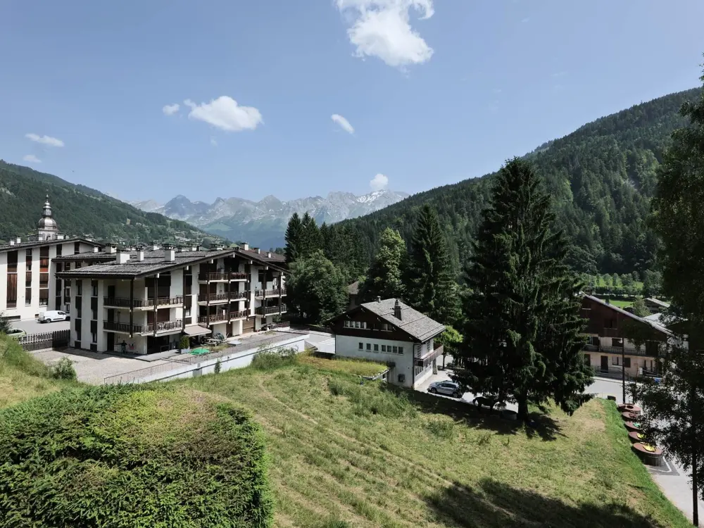 Location de Vacances Le Grand-Bornand 395