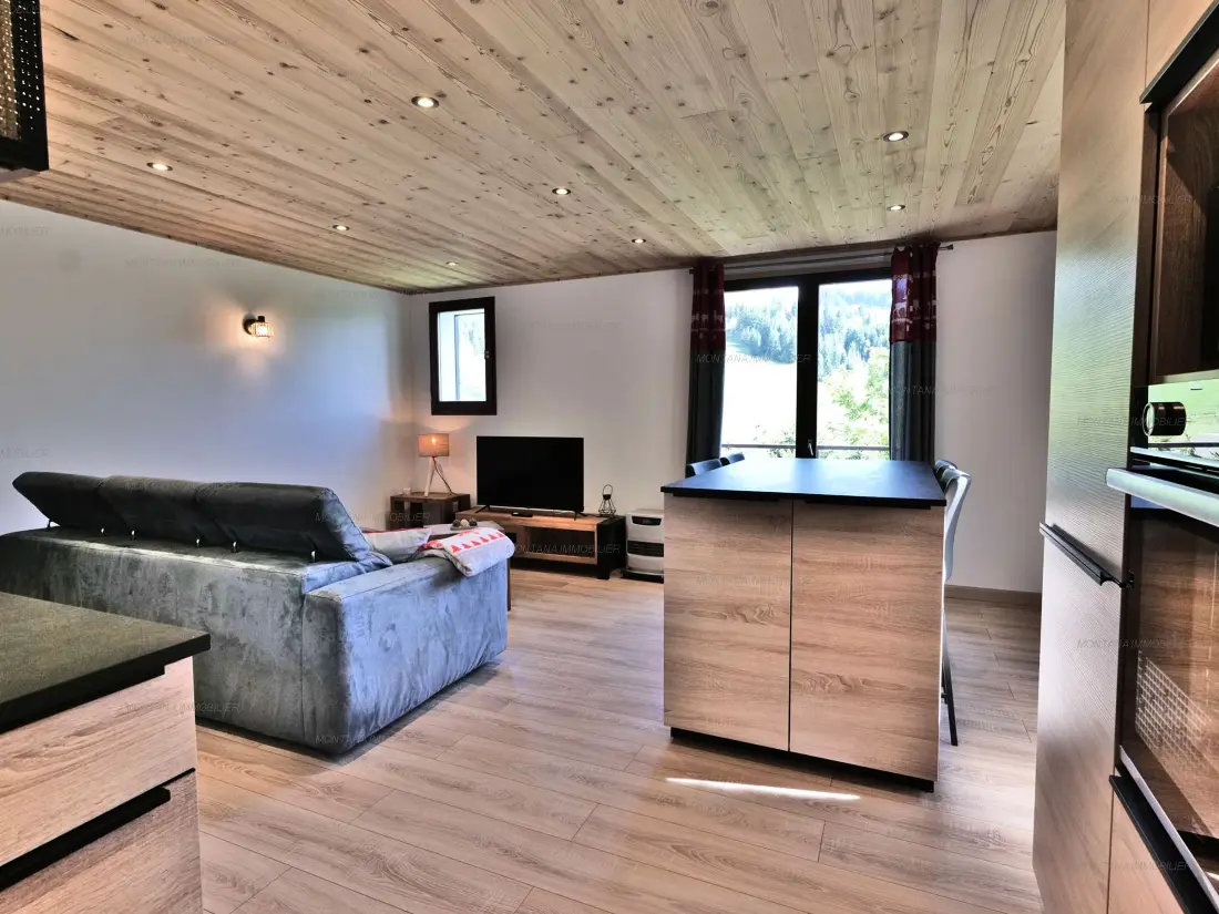 Location de Vacances Le Grand-Bornand 397