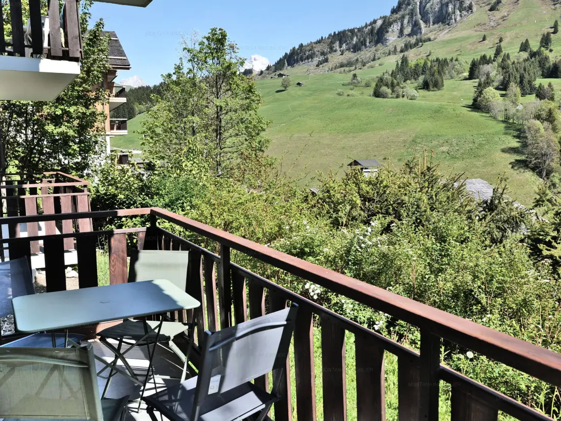 Location de Vacances Le Grand-Bornand 397