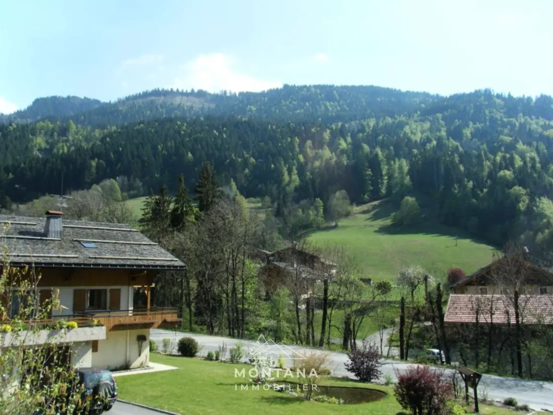 Location de Vacances Le Grand-Bornand 398