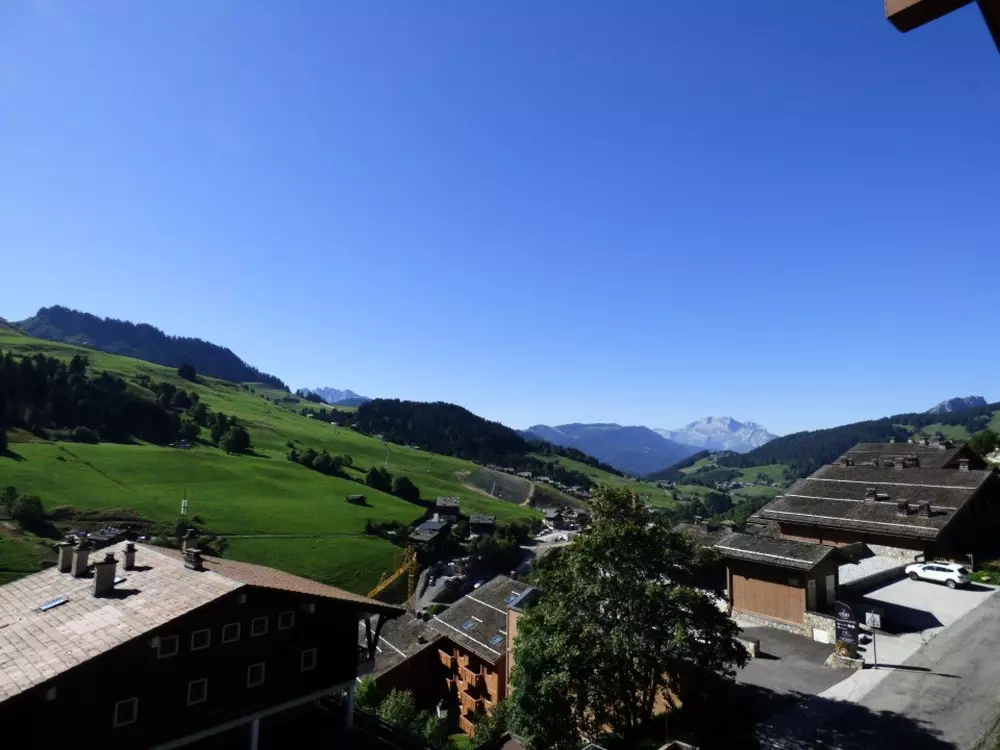 Location de Vacances Le Grand-Bornand 399