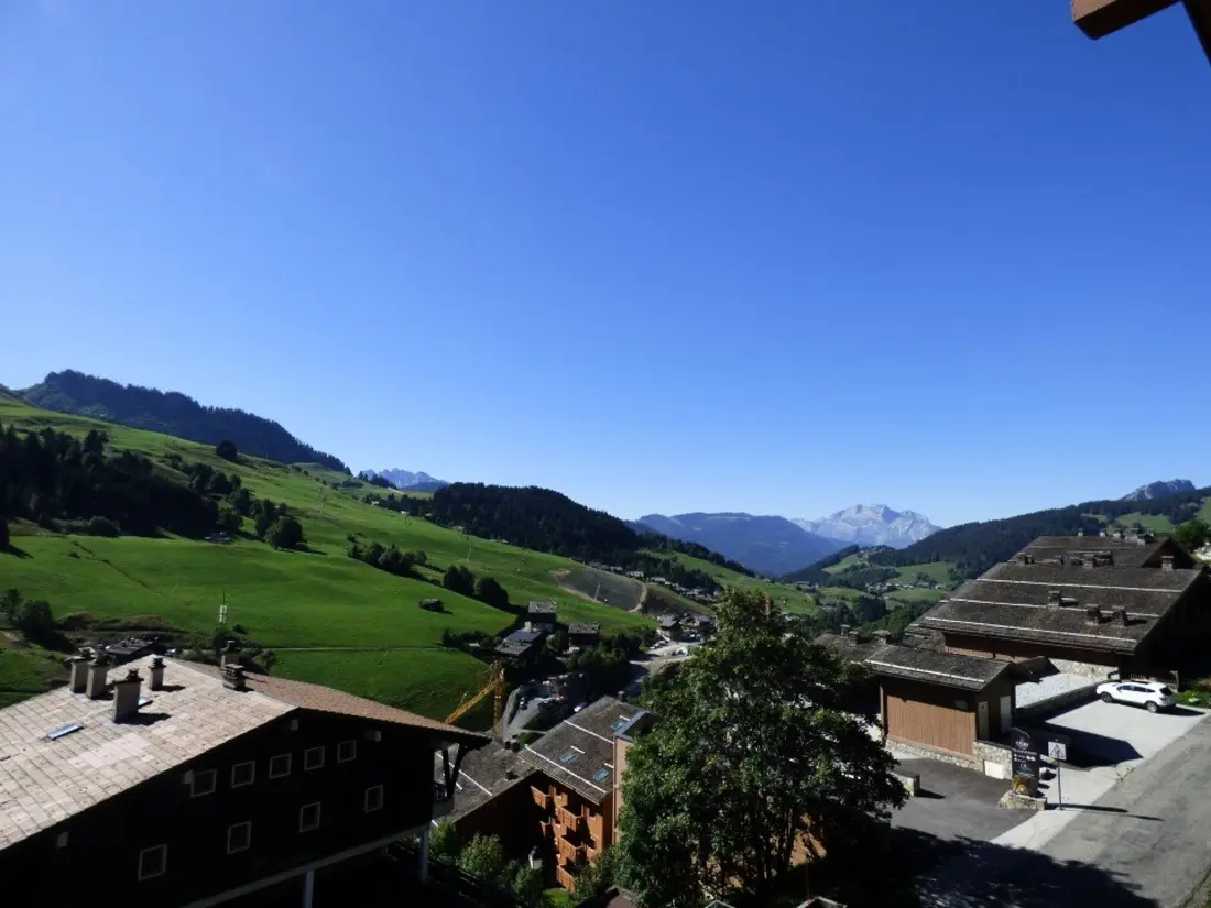 Location de Vacances Le Grand-Bornand 399