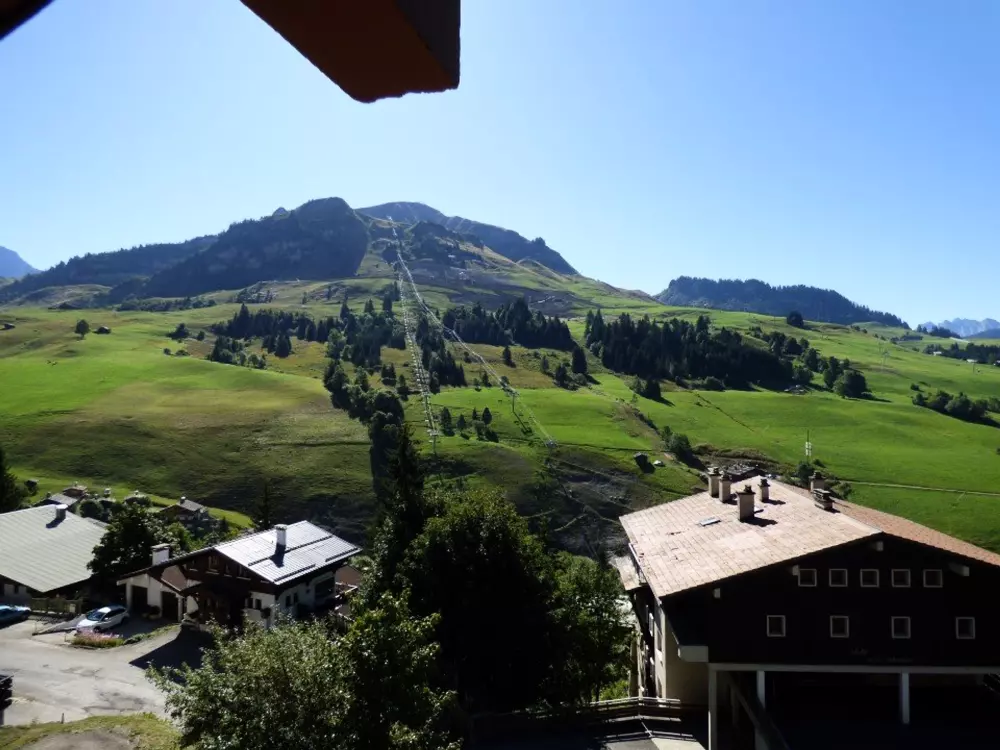 Location de Vacances Le Grand-Bornand 399