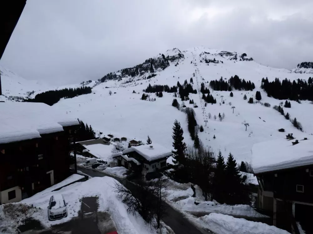 Location de Vacances Le Grand-Bornand 399